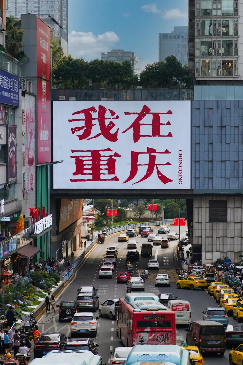 专题合集内多条漫画条目封面成组排列的呈现方式
